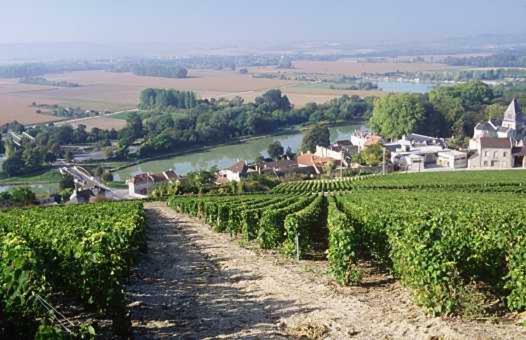 Le Clos Corbier Mareuil-sur-Ay Εξωτερικό φωτογραφία